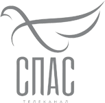 СПАС — клиент студии VIDIIO